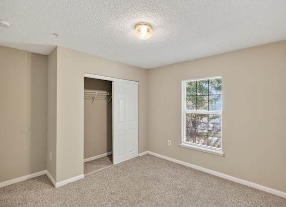 Empty Room at Alexander Ridge Apartments, Canton, GA, 30114