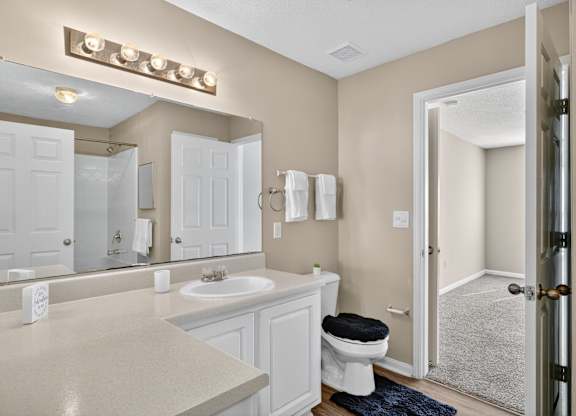 Master Bathroom at Alexander Ridge Apartments, Canton, 30114