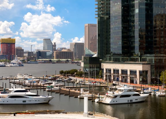 a harbor with boats and a city in the background at 1305 Dock Street, Baltimore, MD