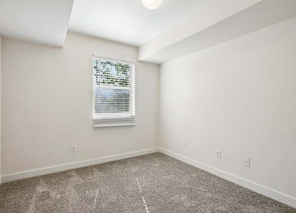 A room with a carpeted floor and a window with blinds.