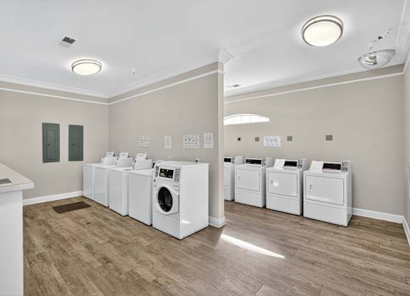 Laundry Room at Alexander Ridge Apartments, Georgia