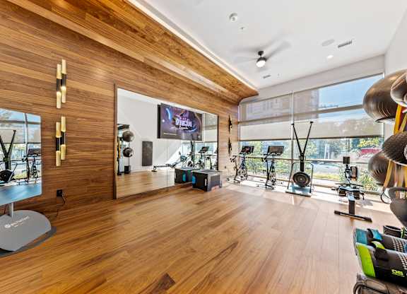 the home gym has plenty of windows and a large screen tv  at South and Hollis, North Carolina