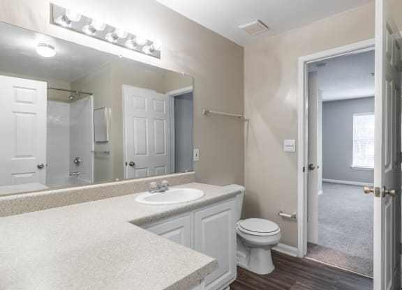 a bathroom with a sink and a toilet and a mirror at Alexander Ridge Apartments, Georgia