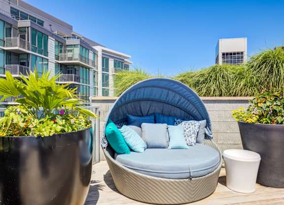 A blue and white outdoor daybed with cushions and a pillow is surrounded by potted plants.