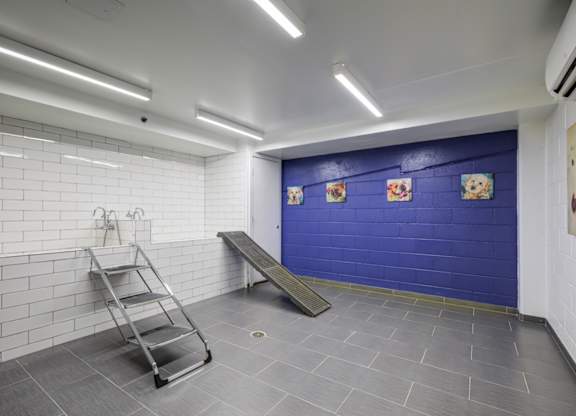A blue wall with pictures on it and a bench.