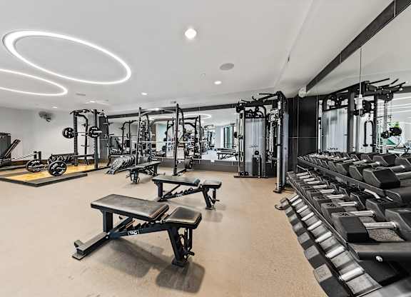 A well-equipped gym with various fitness machines and weights.