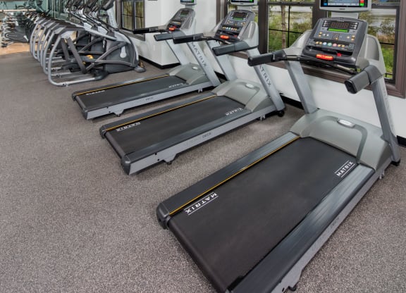 Fitness Center With Modern Equipment at Town Trelago, Maitland, FL, 32751