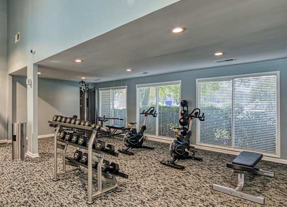 A well-equipped gym with various exercise machines and weights.