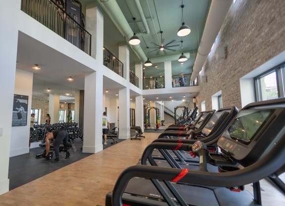 Cardio Machine at La Unión, Florida, 33605
