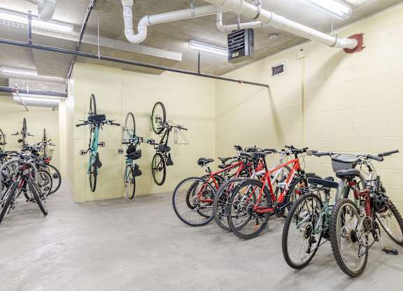 A bike rack with bicycles of various colors and types at Garfield Park, Arlington, 22201