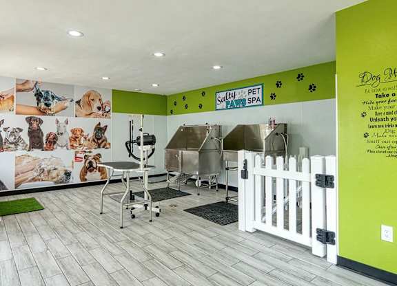 Dog Grooming Salon at Compass at City Center, Newport News, 23606