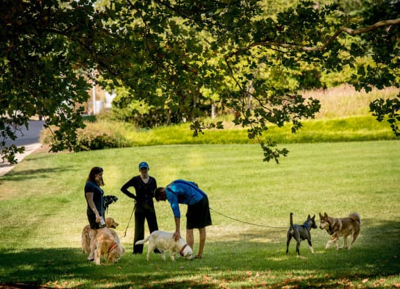 a group of people standing on top of a lush green field at The Acadia at Metropolitan Park, Arlington, Virginia
