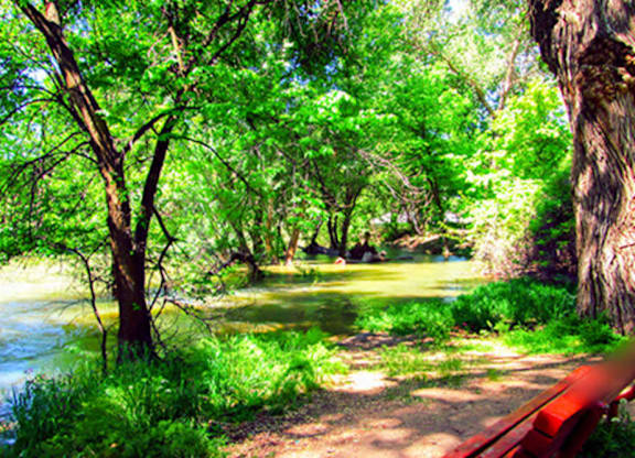 A serene park with a bench and a tree.at Country Woods, Ogden  