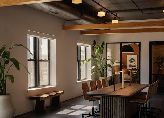 A room with a long table and chairs with a plant on the side.