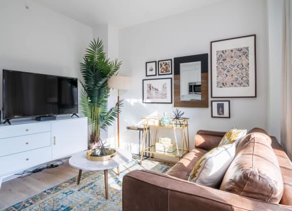 Living Area With TV at Madison House, Washington, DC