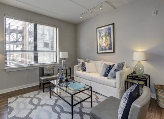 Living room area with couch at The Gunther, Baltimore, MD, 21224