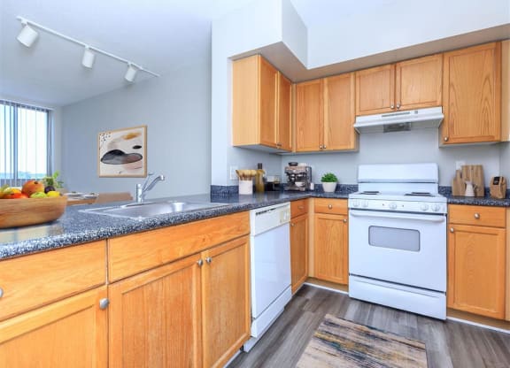 Fully Furnished Kitchen at The Gramax, Silver Spring, 20910