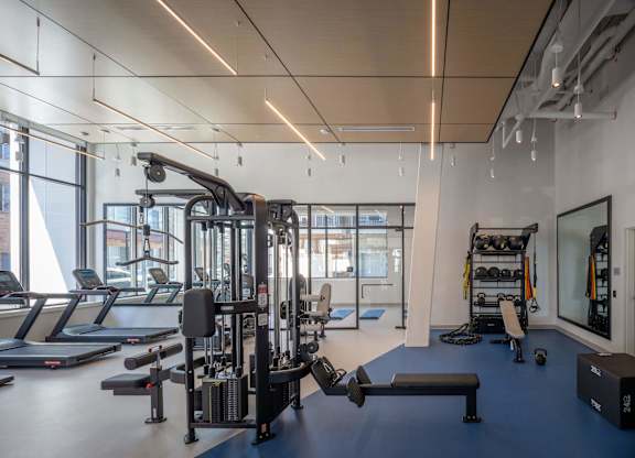 A gym with treadmills, weights, and exercise equipment at Jayde Parkside Apartments, Washington DC, 20019