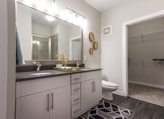 A bathroom with a sink, mirror, toilet, and a shower.at The Aster Cary, Cary North Carolina