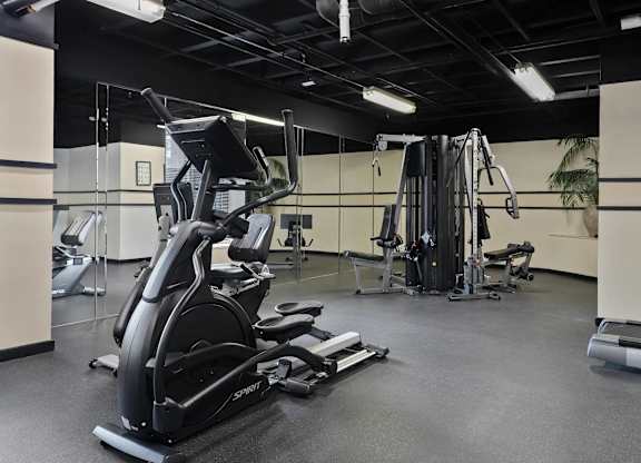 A gym with a row of treadmills and a row of stationary bikes.