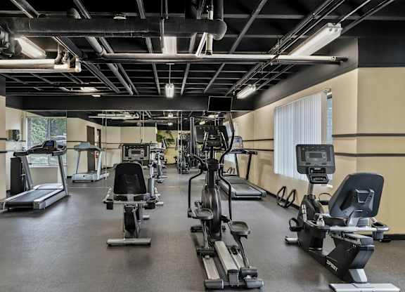A gym with treadmills, elliptical machines, and other cardio equipment.