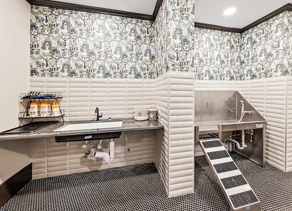 Pet spa and dog washing station at Preston Ridge Cary, NC.