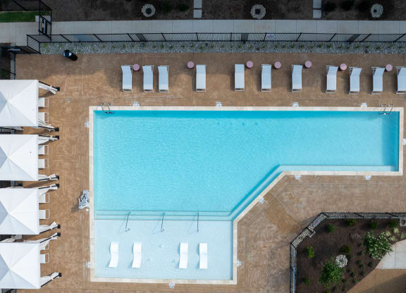 an overhead view of a swimming pool with umbrellas at Preston Ridge, Cary, NC, 27513