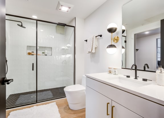 a bathroom with a shower and a sink and a toilet at Rialto, District of Columbia, 20002