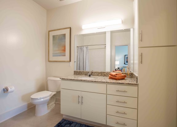 a bathroom with a toilet and a sink and a mirror at Woodmore Grand, Bowie