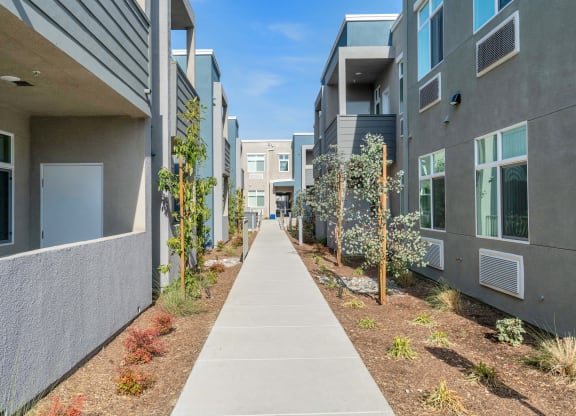 a view down the sidewalk of an apartment complex with trees on both sides of the walkway at Loma Villas Apartments, San Bernardino California