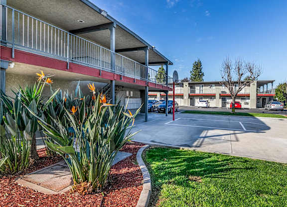 Green and red gross in-front of building at Canyon Shadows Apartments, Riverside, CA