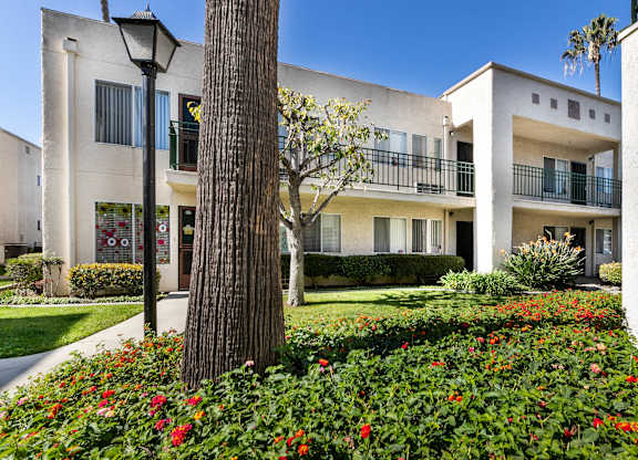 A tree stands in front of a building with a white facade and balconies. at Whispering Fountains Lakewood, Lakewood Bar