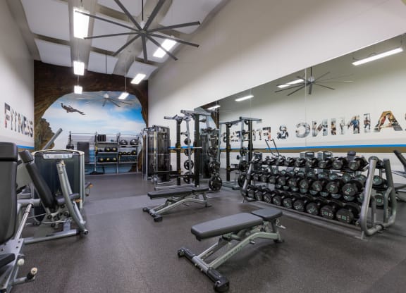 a gym with weights and cardio machines and a mural