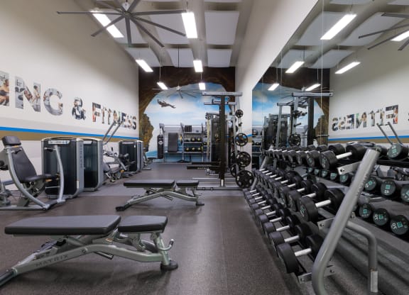 a gym with cardio machines and weights on the floor and a wall with a mural
