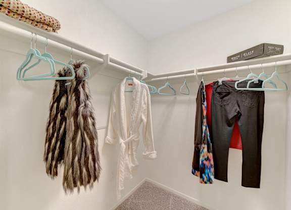 closet at Parc One, Santee, 92071