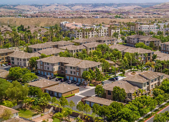 A bird's eye view of community