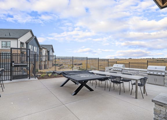 our spacious patio with tables and chairs and a grill and a view of our apartments