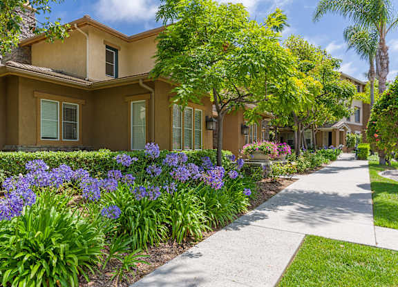 A row of houses with a sidewalk and greenery.