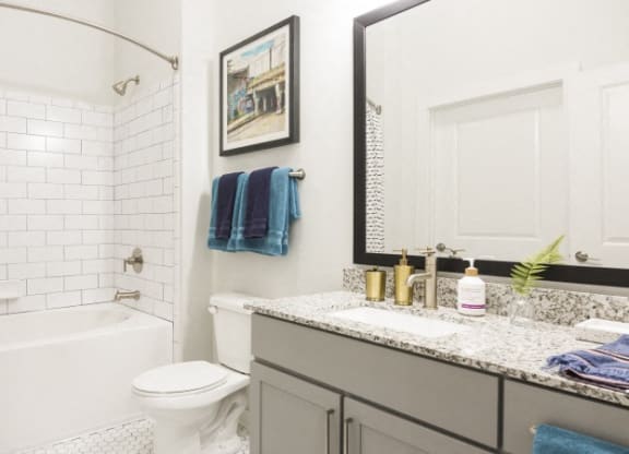 a bathroom with a sink and a toilet and a bath tub