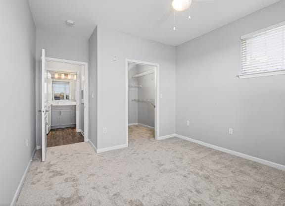 a bedroom with gray walls and carpet