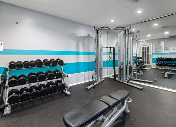 a gym with weights and dumbbells and a mirrored wall