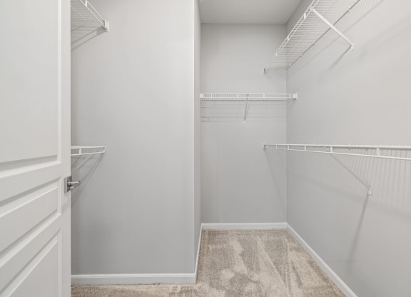 a spacious walk in closet in a 555 waverly unit