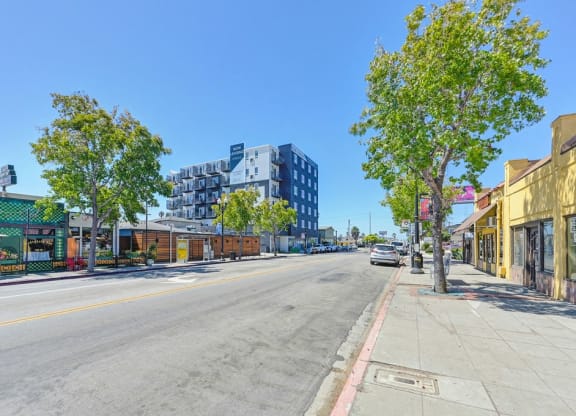 a street view of a city street with buildings and trees
