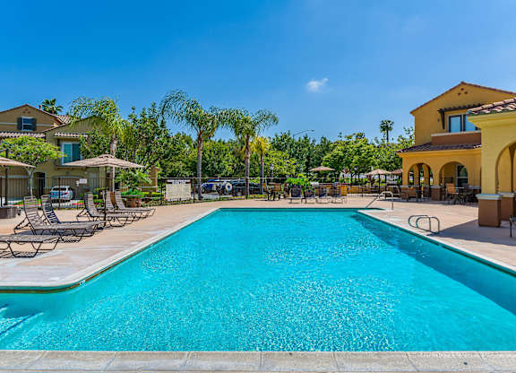 A large swimming pool in a sunny backyard.