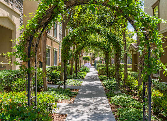 A pathway is flanked by plants and trees in a residential area.