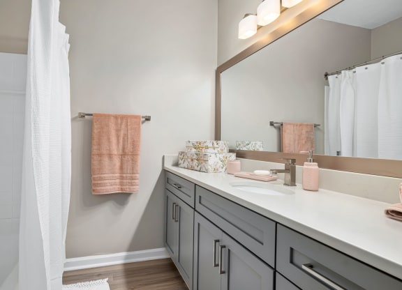 a bathroom with a sink and a mirror and a shower at Mariners Crossing, Raleigh North Carolina