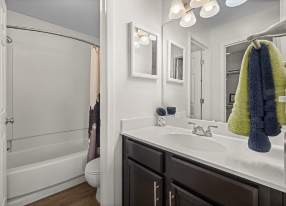 a bathroom with a sink and a shower and a mirror
