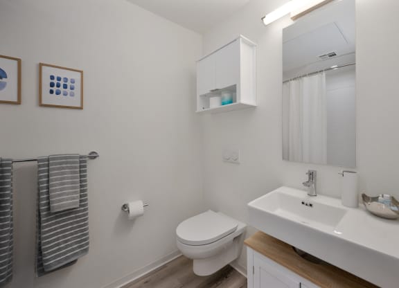 a bathroom with a sink and a toilet and a mirror