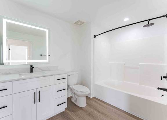a bathroom with a sink and a toilet and a bath tub