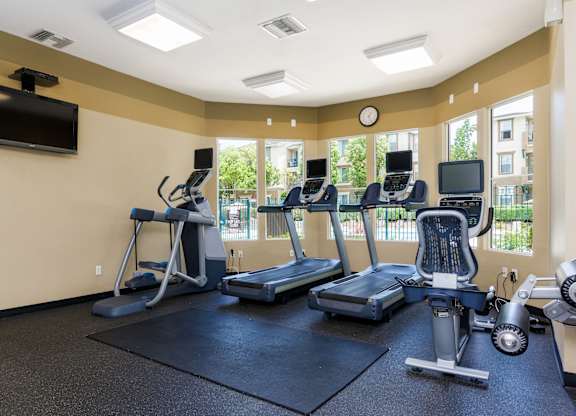 A gym with treadmills, elliptical machines, and a television.